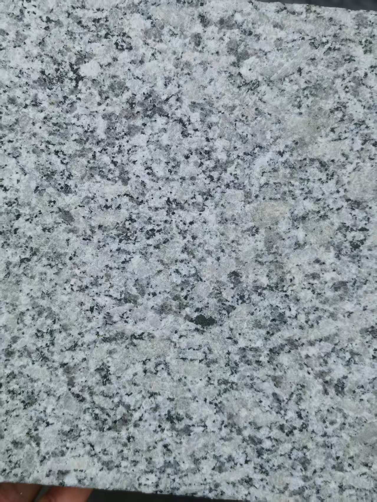 南通 芙蓉白火烧面