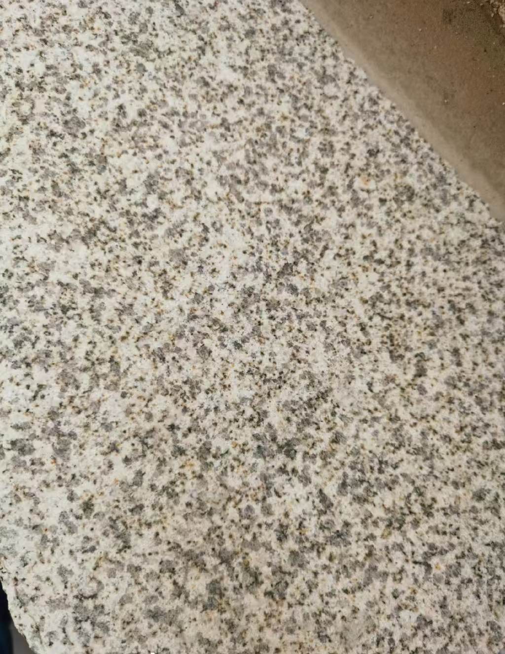 南通 黄金麻中黄光面