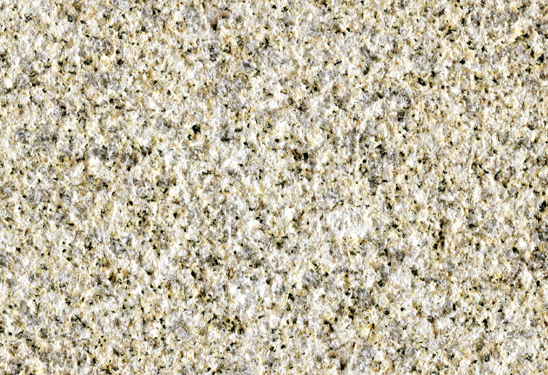 南通黄金麻荔枝面浅黄